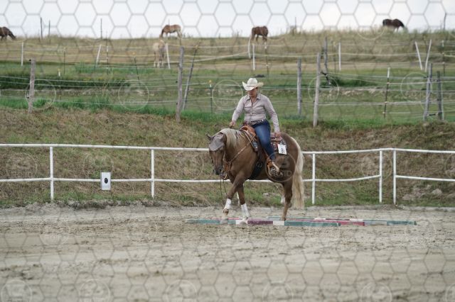 s_K3F06928.JPG